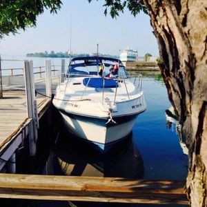 Meet your Posher, Lynn